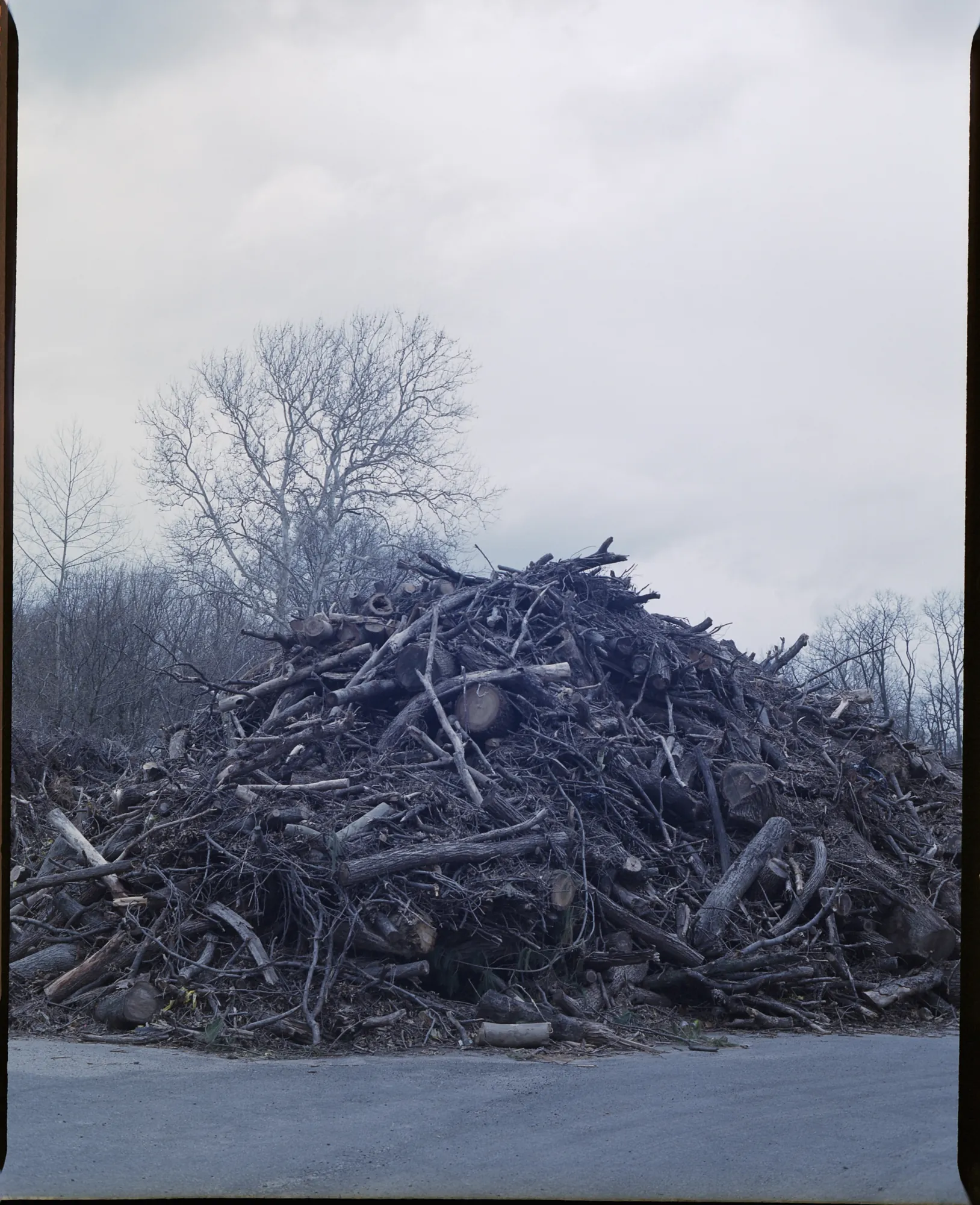 Lune Blanche, On film