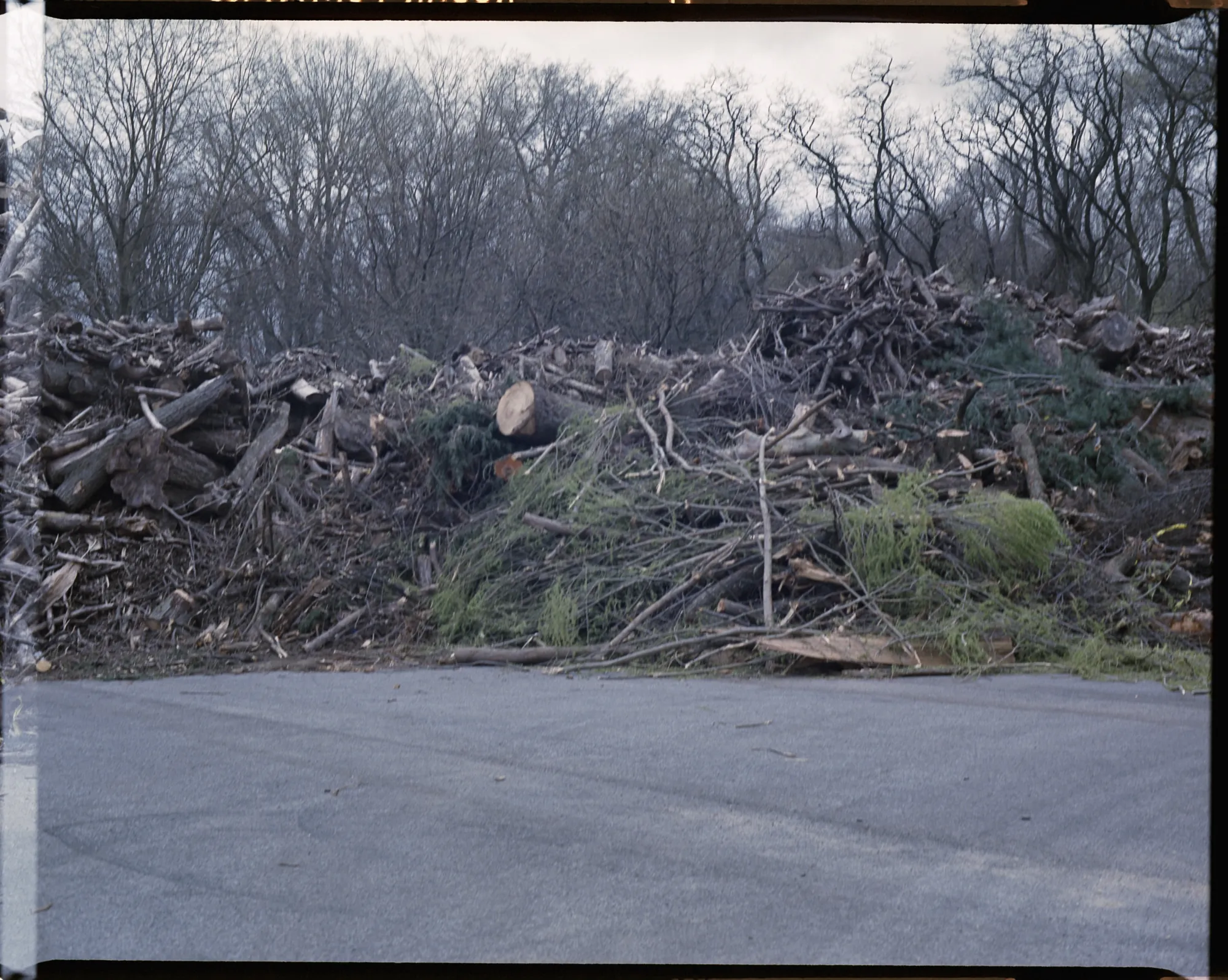 Lune Blanche, On film